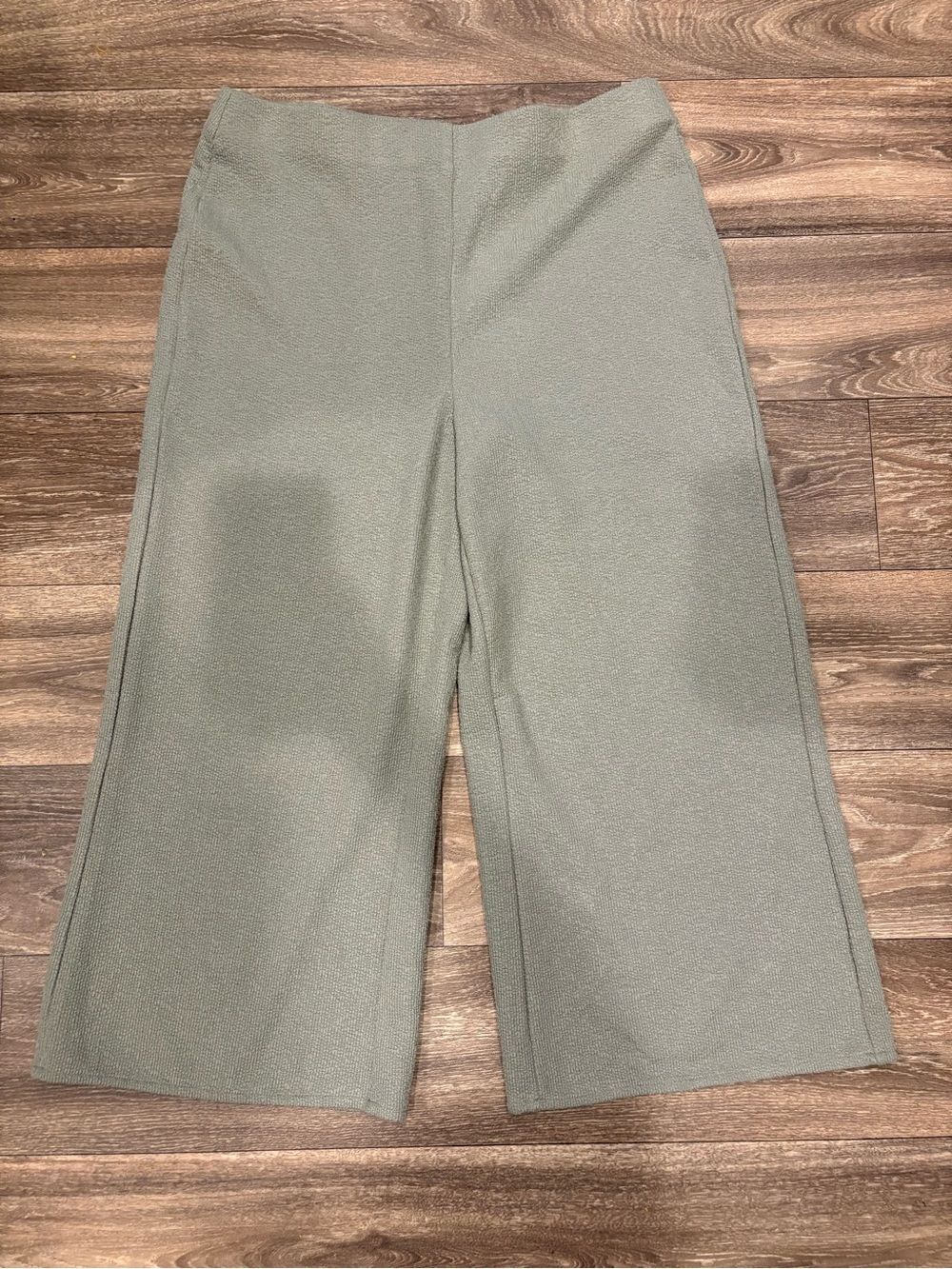 Joie Wide-Leg Flat Front Pull-On Barrel Leg Trousers in Sage Green Size XL NWOT